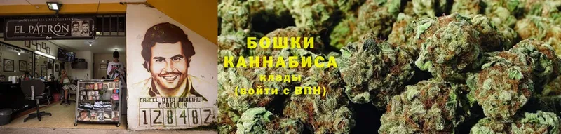 цена   Краснозаводск  Каннабис Bruce Banner 